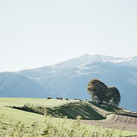 דירה Moxn Lungau - Small Penthouse Mit Terrasse *