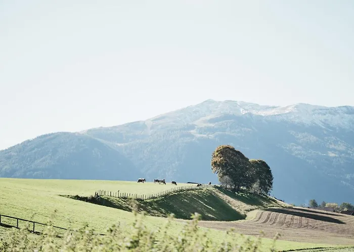 Apartment Moxn Lungau - Small Penthouse Mit Terrasse *